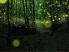 Ķ˵û㣬˵Ķ˵ûж
