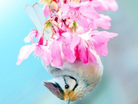 ʧһᣬ˵û׼