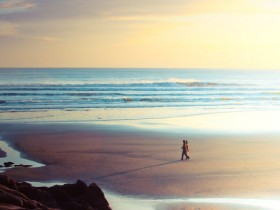 ������һ֧��������ֵ��׷Ѱ