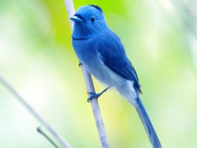 ����ÿ���˶��������ε��ǻ����Լ�������ʮ��·��