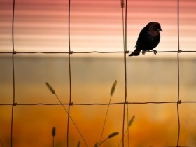 ������Ͳ�����