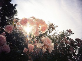 ��һ����ˮ���ĵ��ˣ��ڷ׷��ĳ����У����ܻ���������