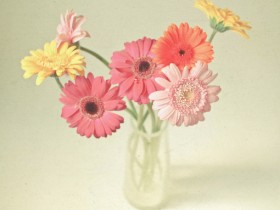 �����������Ҹ��Ϳ��֣���ʼ�ھ��������