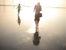 ѧ������Լ�������