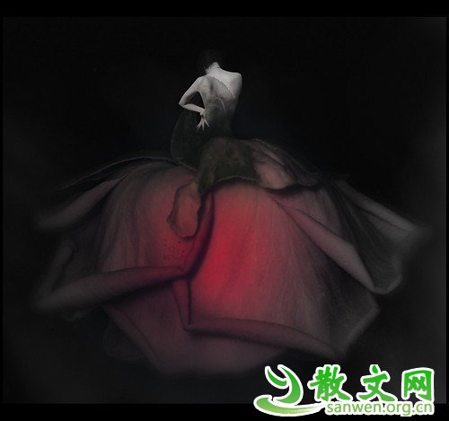 αؿϧ꼻һֵľ