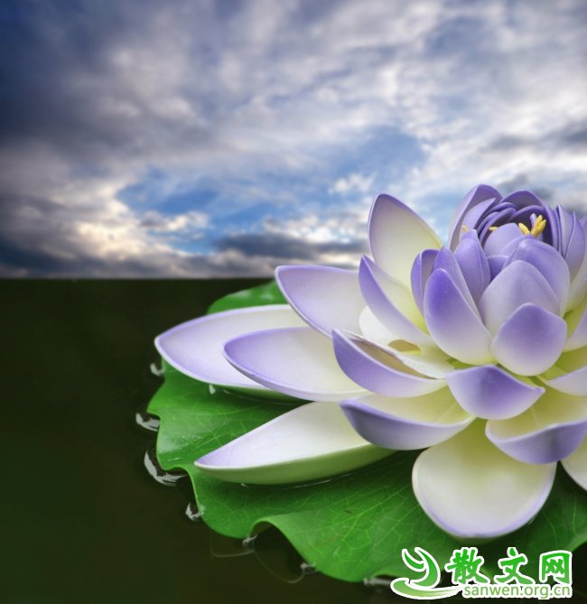 飬ô¿ɼ
