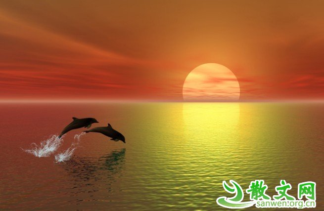 Եˣ˵ٶҲǷϻ