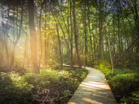 ��֮����ƽ���������޷���Խ�Լ�