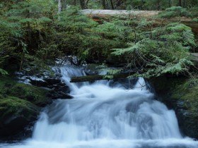 �е��ˣ��������ž��ڱ˴��������˸�����ѿ