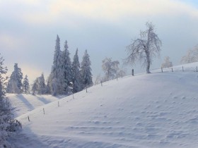 ������������������;���������壬��˽�����ù��Һ�ƽ