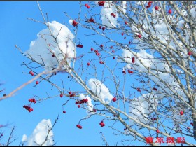 ����һ�ֱ��죬һ��̬�ȣ�һ�־���