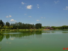 �ϻ۵����ó�ɫ��ƴ��ױ���ഺ���ޱ������Բ�Ⱶ�������������