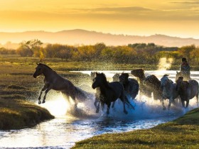 ���������Թ��찮���黳