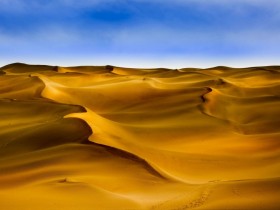 Ψ��Ӣ����־΢��