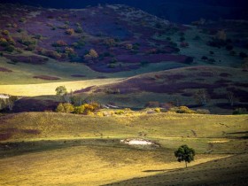 Ψ������Ӣ�����