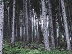 Ψ��Ӣ����¼