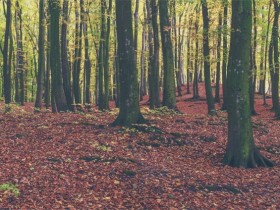 ϯĽ�ؾ�����¼