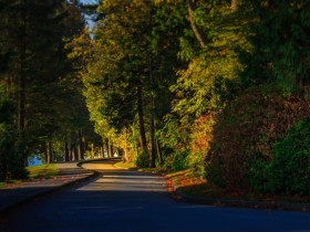 �ɹ��ĵ�·�����˾����Ϳ�����û������������ɹ�