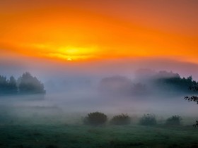 ��Ϊ�㲻֪��˭�ᰮ�����Ц��