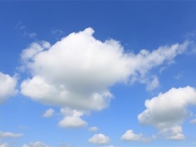 ��������¼