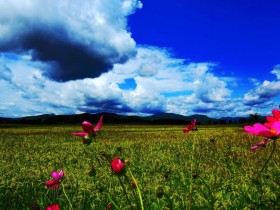 �ж��з��գ�����ȫ���ж����տ��ܸ���