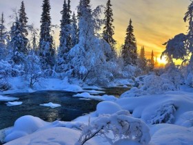 һ·�ϣ���Ţ�����ʻ������ˤ�����ò�������