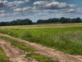 ������������������������������ʹ�������ʧ