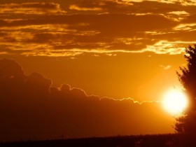 ����Ҫȥ��Ӧ�����Լ������Ĳ�ͬ��Ҫ