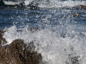 Ωһʹ�˸е�ε�������Լ���Ϊ����ֱ���ʵ