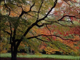 �����ŵ��˾���Զ�������ű��ˣ�Ҳ���޷��߳��Լ�������