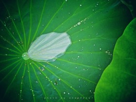 Ҫ������������ף�Ҫ���������ȴ�ܼ�