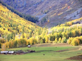 �ɹ����ؾ��ǲ���ʧ�ܺͲ���ʧ��