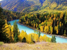 ����ֻ��ǳ����ֹ������Ͷ�����Լ�����ǵ�ʶ��