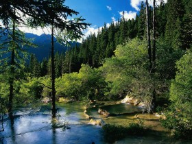 ��������һ���ɿ���������Զ��֪���᳢��������ζ