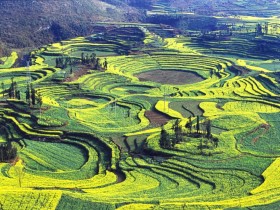 �˰���ʱ���κι��¶��޷�������һ���޳ֶ��޷�����