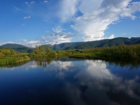 ʧ���˵�ǰ�󣬽�͸�ź�ˮ�ͷܶ�