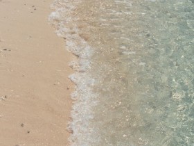 �õ������������ŵ������ǻ�