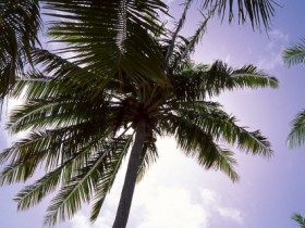 ������Ȼ�пᣬ��ֻҪ��Ը����