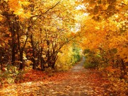 �������Լ���������Ŭ��