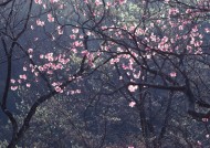 �㲻���ң��Ҳ����㡣