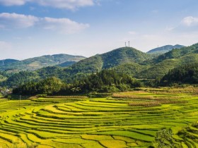 ��һ��������գ������ַ����Ƶ�