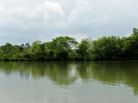 ���Ծ�����¼, �������Ĳ���Ե