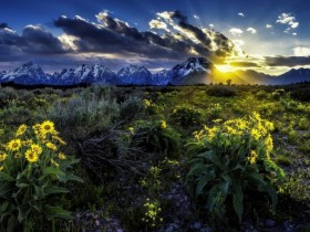 ���Ȱ����ˣ�����Ҳ������