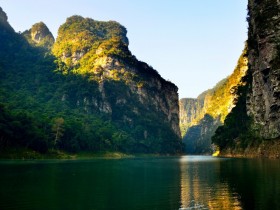 �ɹ��ߺ�ʧ���ߵĲ��