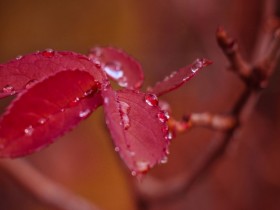 ����΢Ц���ˣ��϶�����ͷ�Ե���