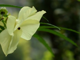 ��Ȼ���ģ�Ҳ��Ҫ��ü��չ