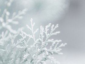 ��ִ�أ�����˲��ü�ֵ�