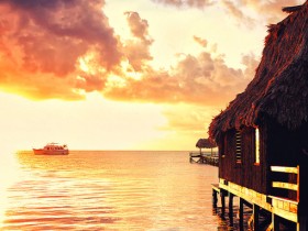 ��ʱ������Ҫ����