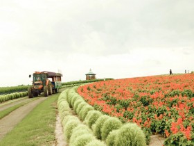 ʧ�����粻ƽ̹��·���������������������������ʹ�����������