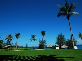 ��Ҫ�������е��κ�һ�컳���ź�